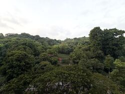 Blk 70A Telok Blangah Ridgeview (Bukit Merah), HDB 4 Rooms #602926411
